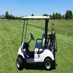 Golf Cart Market Report