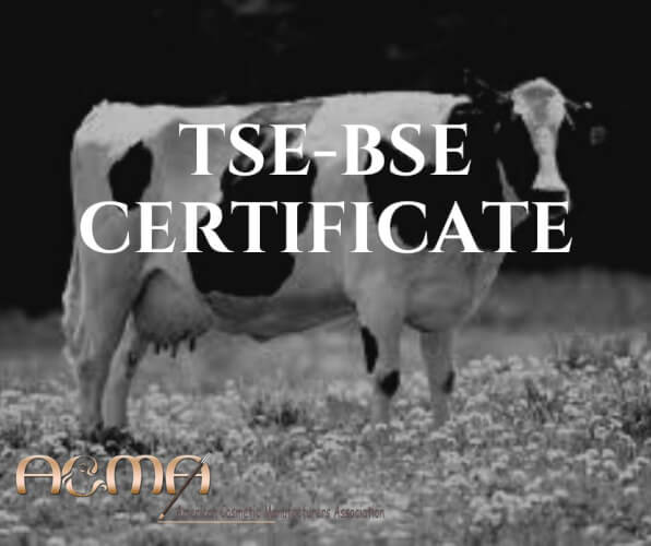 tse-bse certificate