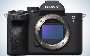 Best Overall: Sony Alpha 7 IV